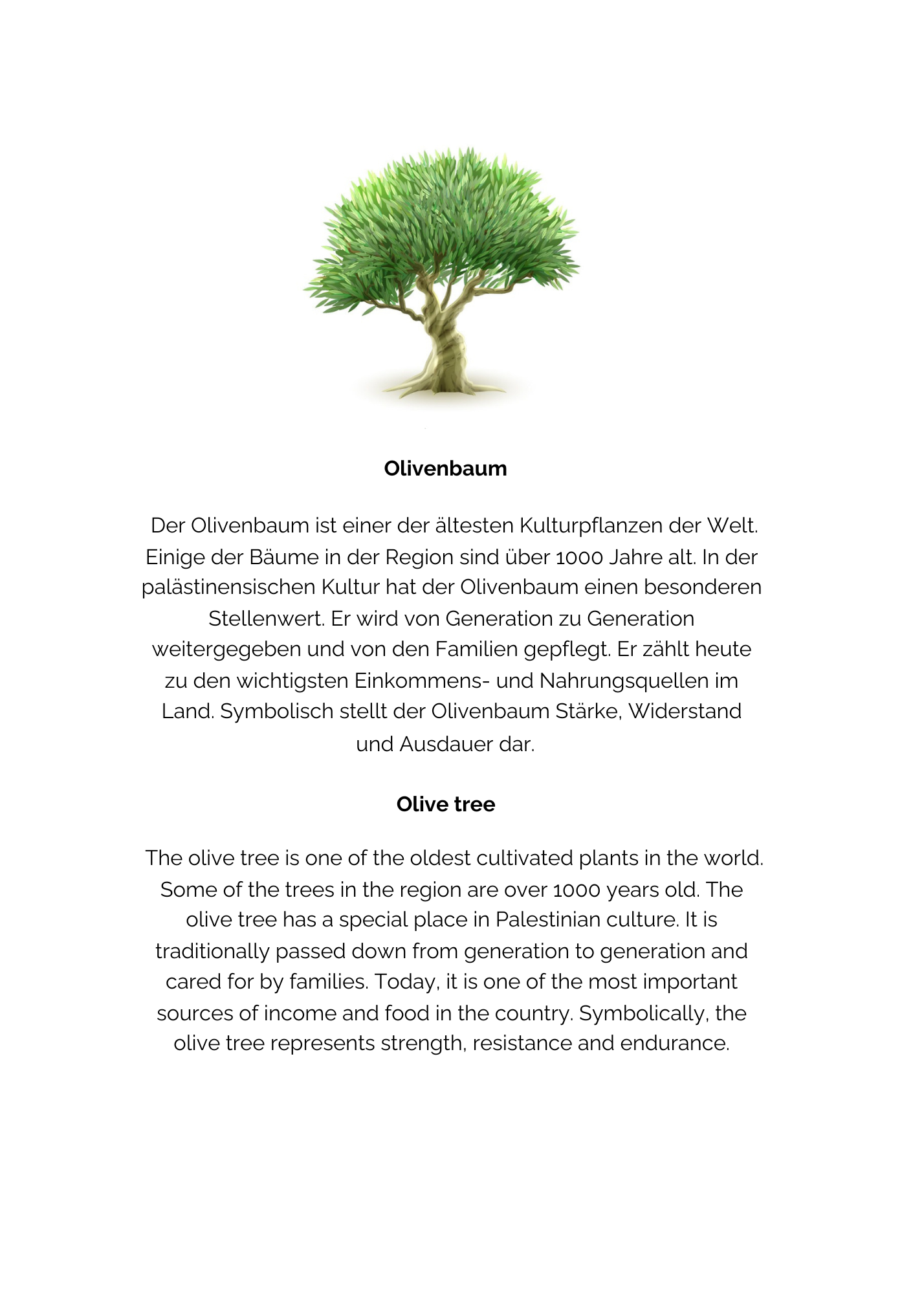 Soul of my Soul – Digitaler Planer inspiriert von Palästina